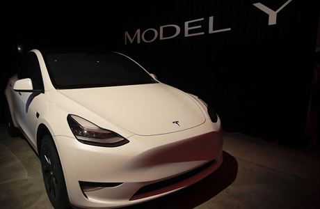 Model Y.