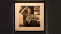 Z vstavy David Wojnarowicz: Photography & Film 19781992, KW Institute for...