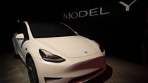 Model Y.