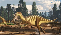 V Austrálii našli čelisti nového druhu dinosaura