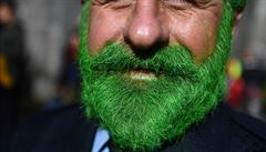 Jeden z úastník prvodu v irském Galway si nechal obarvit vousy na zeleno.