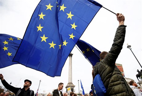 Demonstranti - nkteí v pestrých kostýmech a mnozí s vlajkami EU - se seli u...