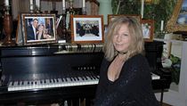 Barbra Streisandov chyst charitativn drabu svch vc.