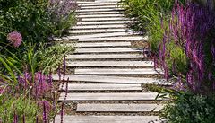 Pry je zaitý obraz zahrady jako trávníku ohranieného ivým plotem. Po pár...