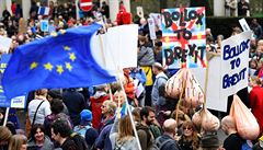 Desítky tisíc lidí pochodovaly centrem Londýna na podporu iniciativy, která se... | na serveru Lidovky.cz | aktuální zprávy