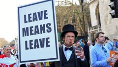 Odejít znamená odejít, upozoruje demonstrant. Tisíce Brit chce, aby vlád...