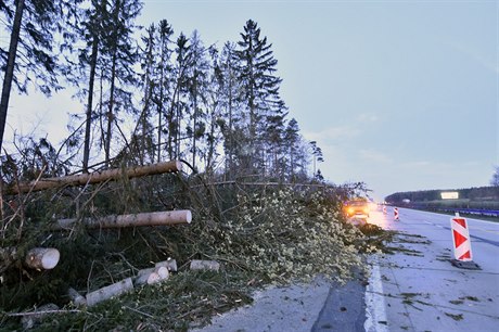 Silniái odstranili spadané stromy z D1.