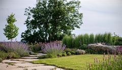 Projdte se po okolí a dívejte se, kterým rostlinám se tu daí. Pro? Pokud...