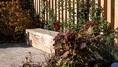 V pti naich nejoblíbenjích trvalek (milujících slunce) adíme alvj hajní...