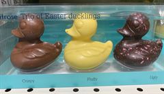 Trio �okoládových ká�átek. Nejtmav�í se jmenuje �o�klivé�.