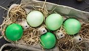 Lehkých zelenkavých odstínů dosáhnete vařením vajec v půllitru vody společně s...