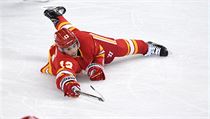 Johnny Gaudreau se natahuje pro puk.