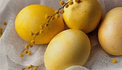 Krásnou sytou lutou, která na kraslicích symbolizuje svtlo a slunce, na...