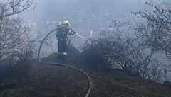 Hašení lesního požáru u Libčic potrvá zřejmě do odpoledne. Hasiči hledají skrytá ohniska