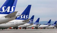 Letadla skandinávské spolenosti SAS zstala zaparkována na letiti Oslo -...