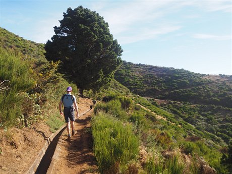 Levada do Paul je zcela bez stínu, ale nabízí skvlé výhledy, Madeira