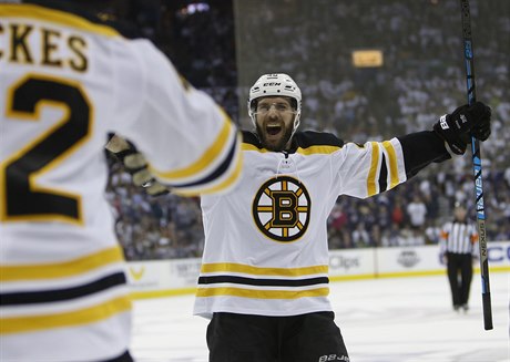 David Krejí z eské republiky hrající za tým Boston Bruins oslavuje vstelený...