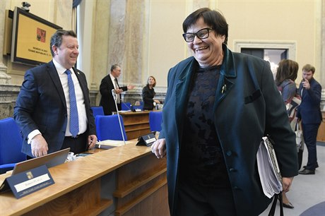 Ministryn spravedlnosti Marie Beneová pichází na zasedání vlády.