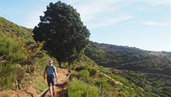 Levada do Paul je zcela bez stínu, ale nabízí skv�lé výhledy, Madeira