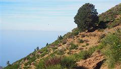 Levada do Paul je zcela bez stínu, ale nabízí skvlé výhledy, Madeira