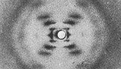 Zeptali jsme se vědců: Co přesně můžeme vidět na fotografii 51 Rosalind Franklinové?