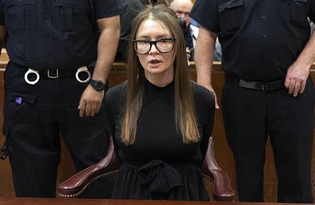 Anna Sorokinová u soudu