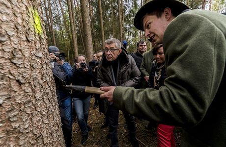 Pedseda vldy esk republiky Andrej Babi si ve stedu prohldl lokality lesa...