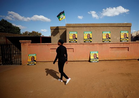A supporter of President Cyril Ramaphosa's ruling African National Congress...