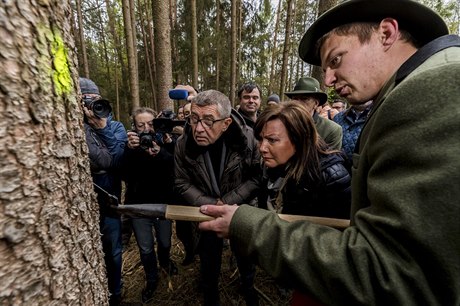 Andrej Babi a Alena Schillerová na vládním výjezdu. Navtívili lesy zasaené...