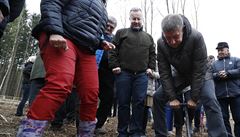 Andrej Babi si prohlédl lokality lesa zasaené krovcem.