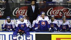 Zklamaná stídaka slovenských hokejist