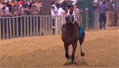 VIDEO: Na vítěze se v dostihu nikdo neohlížel. Pozornost budil kůň bez jezdce