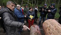 Premiér Andrej Babi navtívil les zasaený krovcem. Na snímku je Andrej...