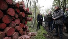 Premiér Andrej Babi navtívil les zasaený krovcem. Na snímku je Andrej...