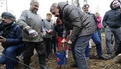 Premiér Andrej Babi navtívil les zasaený krovcem. V pozadí Babie sleduje...