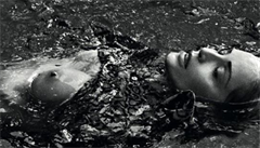 Sharon Stoneová na obálce časopisu Vogue