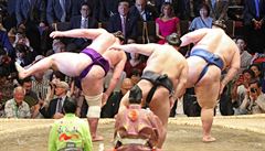 Japonské sumo zápasy.
