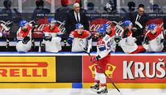 Záblesk naděje pro český hokej, účast hráčů z NHL na MS je reálná. Chceme to nejlepší, říká Pešán