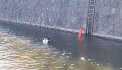 Pratí stráníci ve Vltav nali utopené elektrokolo, které tam vhodil neznámý...