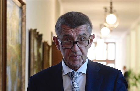 Premir Andrej Babi (ANO) pichz na schzi vldy 3. ervna 2019 v Praze.