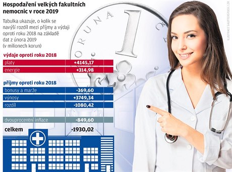 Hospodaení velkých fakultních nemocnic v roce 2019.