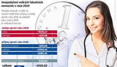 Hospodaření velkých fakultních nemocnic v roce 2019. | na serveru Lidovky.cz | aktuální zprávy
