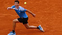 Dominic Thiem ve finále French Open