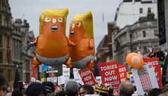 Na protestech se objevovaly i nafukovací balónky dítte Trumpa.