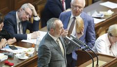 ANO chce zbrzdit zákon o povinných českých potravinách, norma by mohla vést ke zdražování a snižování kvality