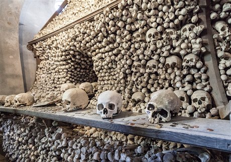 Kosti, které jsou nyní v sedlecké kostnici uloeny, byly exhumovány v 15....