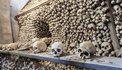 Kosti, které jsou nyní v sedlecké kostnici uloeny, byly exhumovány v 15....