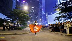 Demonstrant drí vlajku Hongkongu.