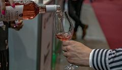Veletrh Prague Wine 2019. Víno z maarského vinaství Koch.