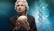 Steven Pinker, kanadsko-americký profesor psychologie na Harvardově univerzitě.